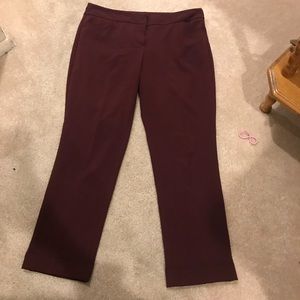 New York &company burgundy dress pants